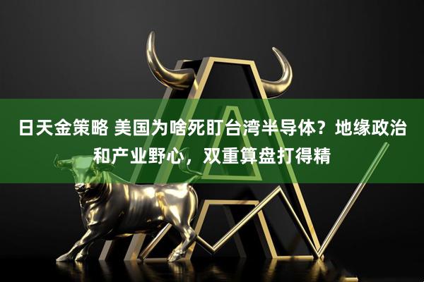 日天金策略 美国为啥死盯台湾半导体？地缘政治和产业野心，双重算盘打得精