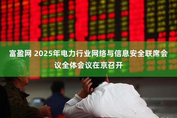 富盈网 2025年电力行业网络与信息安全联席会议全体会议在京召开
