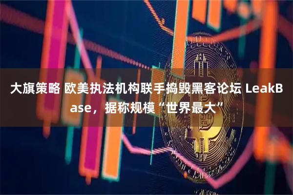 大旗策略 欧美执法机构联手捣毁黑客论坛 LeakBase，据称规模“世界最大”